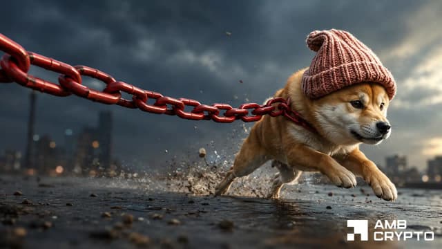 dogwifhat jumps 16% - but massive resistance stands in WIF's path to more gains - AMBCrypto