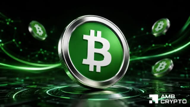 Bitcoin Cash price stalls near $214 despite Cash 3.0 payments push - AMBCrypto