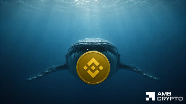 Binance Coin: Can a $8.5M whale position keep BNB above $700? - AMBCrypto
