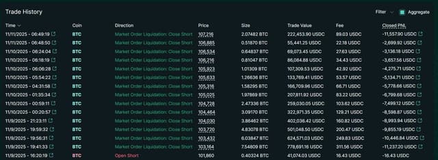 JUST IN: After closing one winning trade, James Wynn opened a new $BTC short at 40x leverage and has now been completely liquidated, losing $100K.
Total PnL: -$22,014,348.87