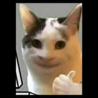 @sambelpecellele