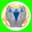 @VibraFinance
