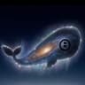 @Midnight_Whale_