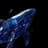 @BaseWhaleAlert