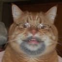 @aroogle