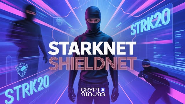 Starknet Reveals Shieldnet for Enhanced Privacy in DeFi