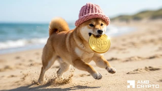 dogwifhat volume surges 128% to $190M - $0.26 next for WIF if supply breaks - AMBCrypto
