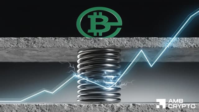BCH liquidation clusters build above price — Is $232 next? - AMBCrypto