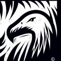 @vulturetrades