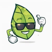 @WealthBranch
