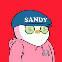 @sandyXBT