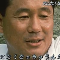 @miya345uo