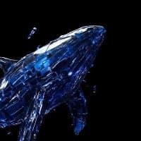 @BaseWhaleAlert