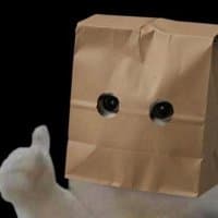 @Dogecoinrich