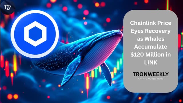 Chainlink Price Eyes Recovery As Whales Accumulate $120 Million In LINK