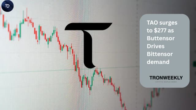 TAO Surges To $277 As Buttensor Drives Bittensor Demand